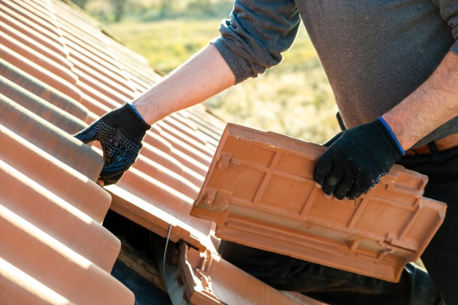 Roof Repair by James Horn